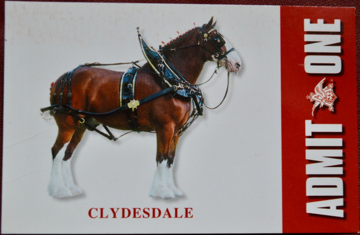 041909 Budweiser Brewery Experience, Merrimack,&nbsp;NH